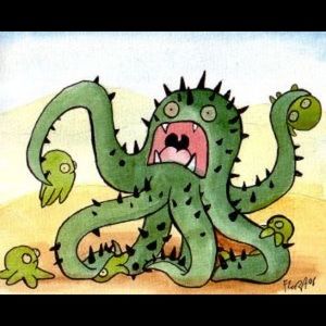 Meet your Posher, Felipe